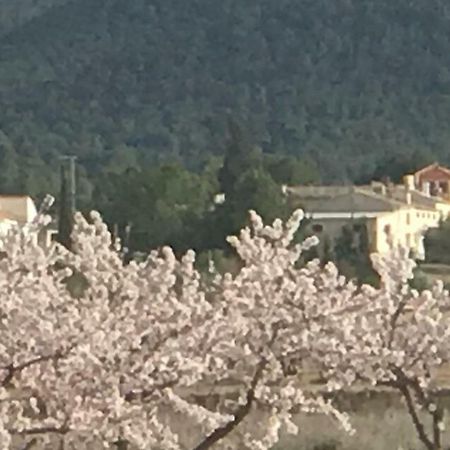 Cortijo De Los Castellanos Las Ventanas Exterior foto